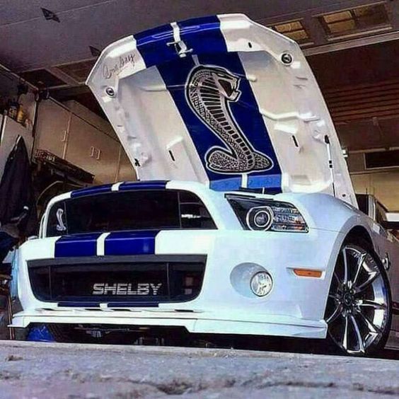 dodger69